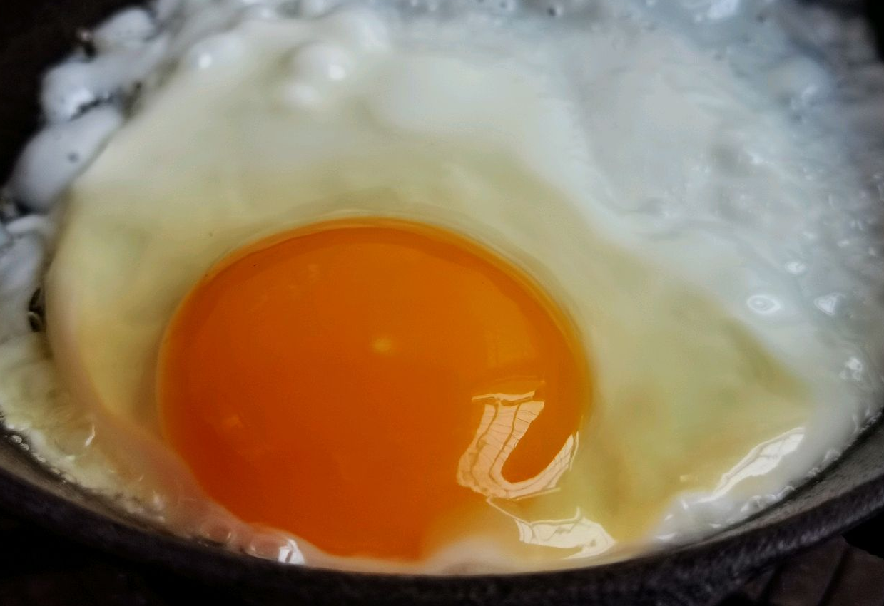 Fry one sterile egg until 80% cooked; adjust time for different preferences.