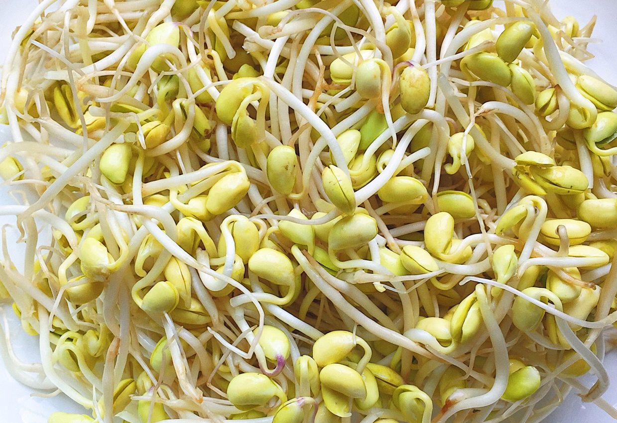 Soak 250g soybean sprouts 5 mins, rinse thoroughly, set aside.