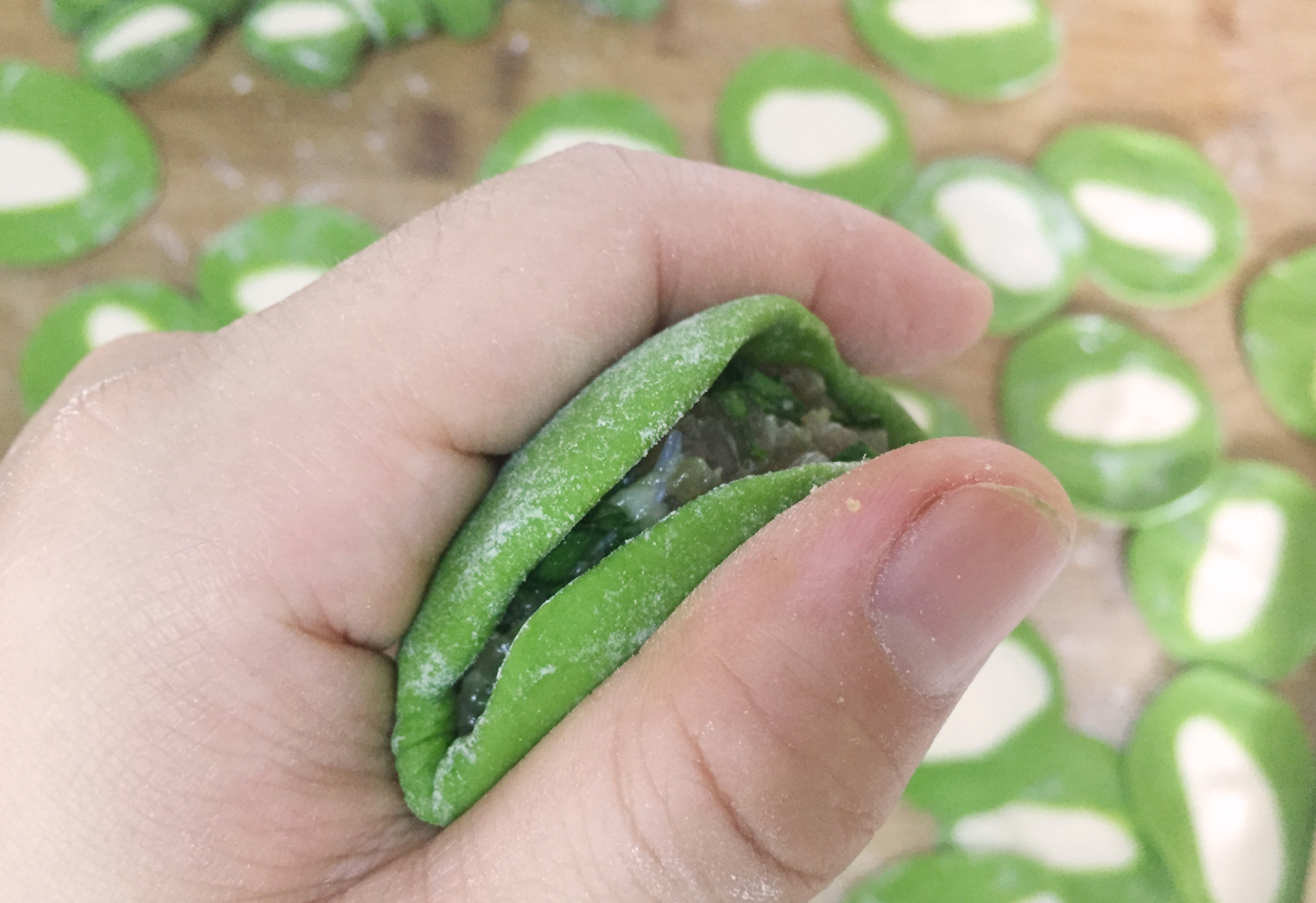 Fold dumpling wrapper in half.