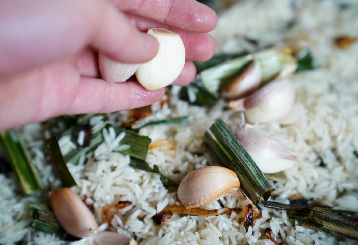 Stir-fry jasmine rice with garlic in chicken oil until dry.