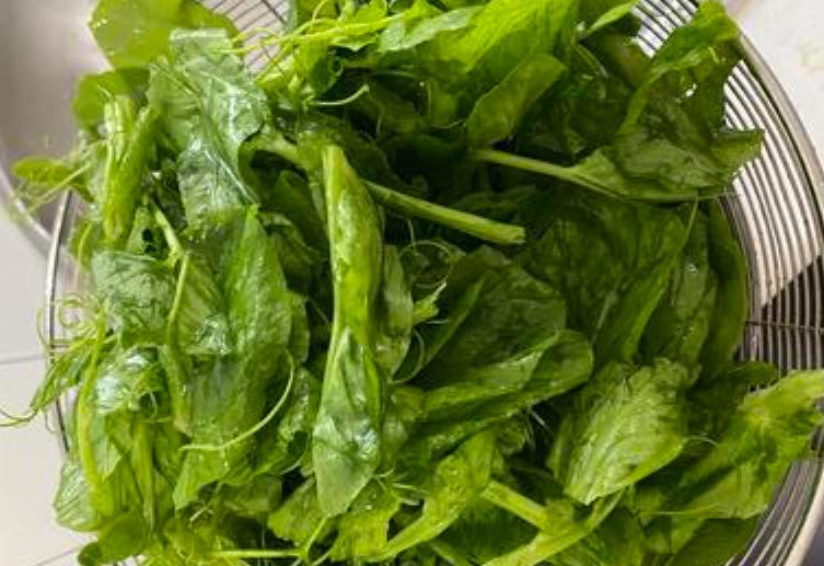 Tips for preparing pea shoots: remove stems and tough leaves, rinse well.