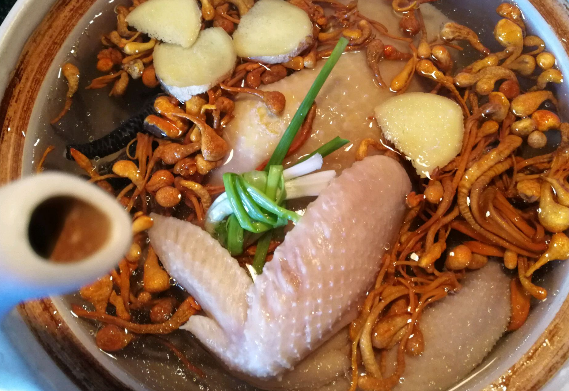 Cooking method: Boil half black-bone chicken with ginger, cordyceps, and green onions in a clay pot.