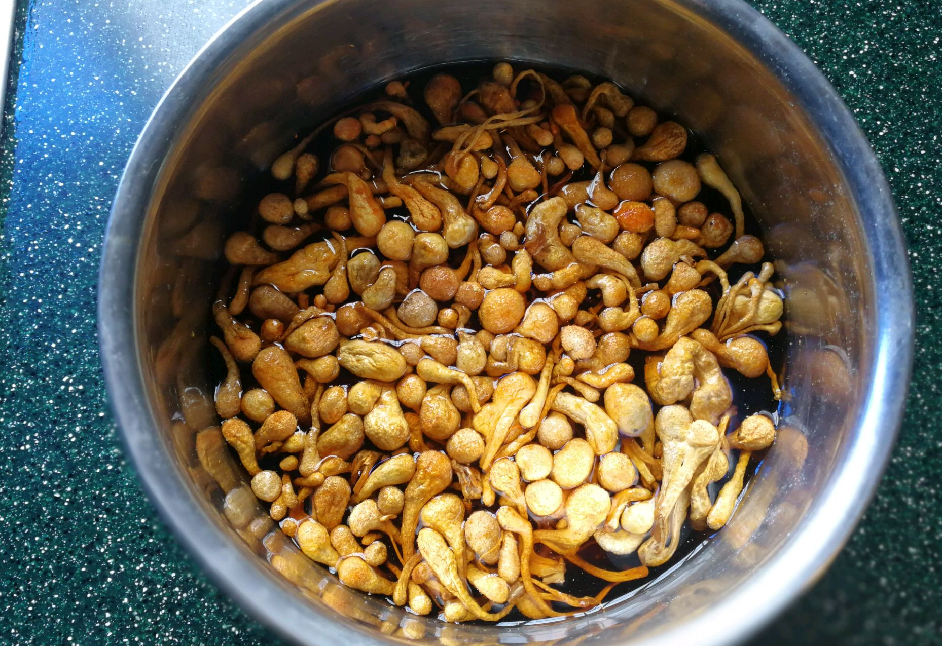 Soak cordyceps flowers in water for 20 minutes.