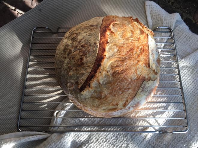 Sourdough Bread Recipe