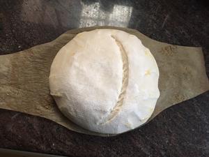 Slash cold dough on parchment paper before baking.