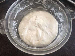 Add salt to dough, wet hands to dissolve, knead 1 minute, let rest 20 minutes.