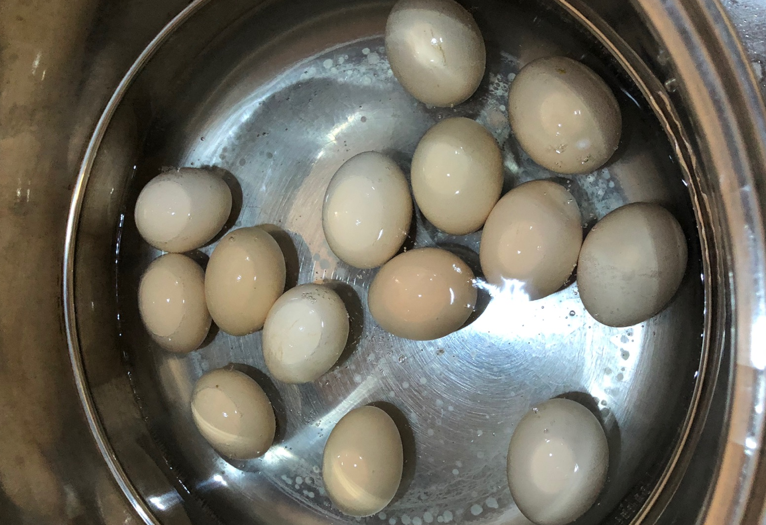 eggs