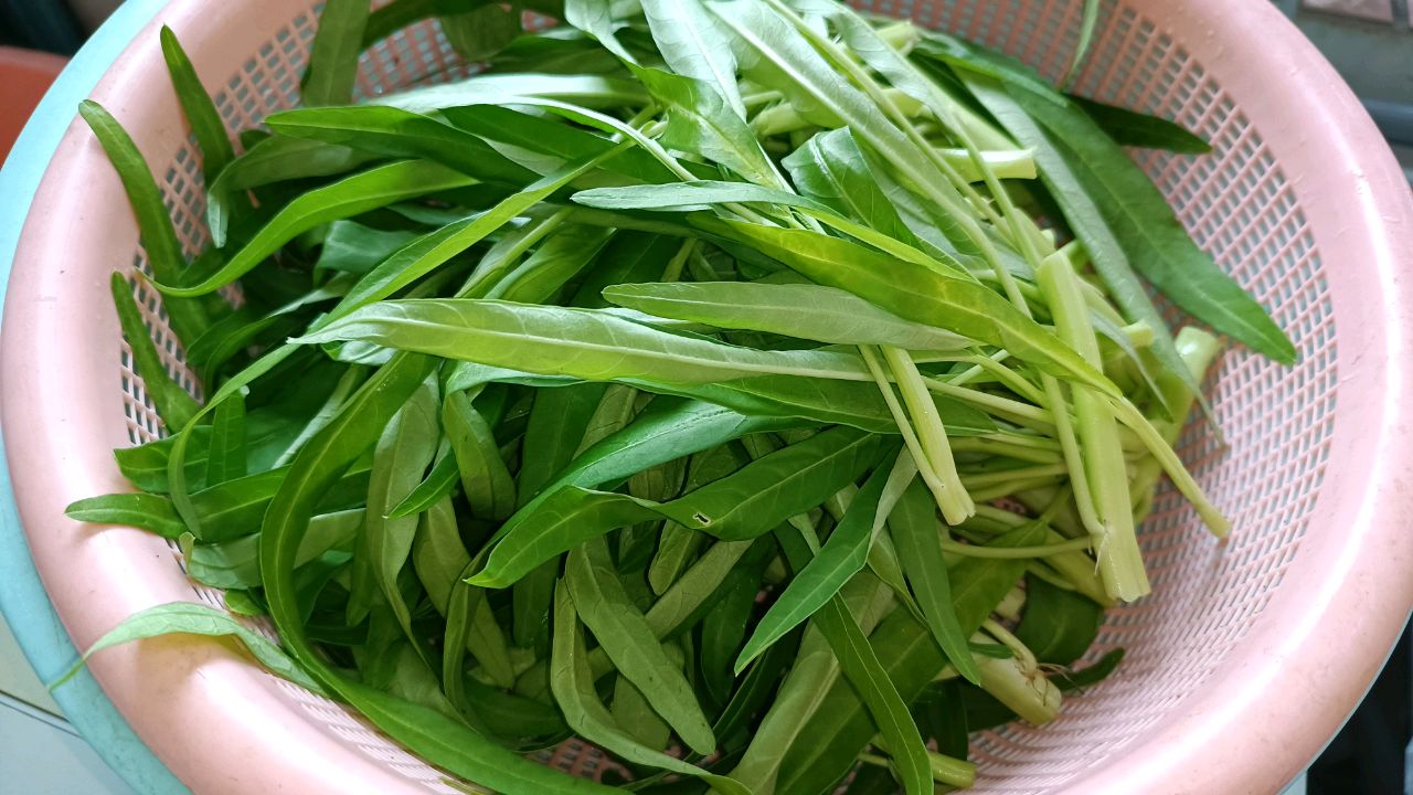 water spinach