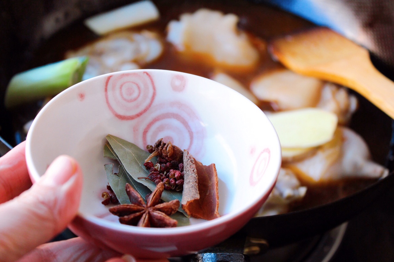 green onion, ginger, anise,Sichuan peppercorns