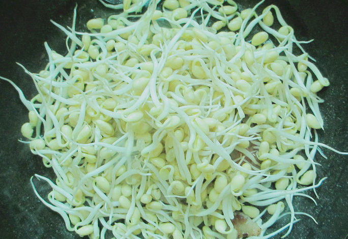 Stir-Fry Bean Sprouts